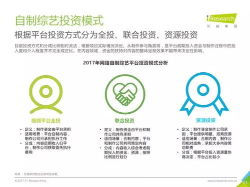 2017年中國(guó)網(wǎng)絡(luò)自制內(nèi)容行業(yè)研究報(bào)告 數(shù)字內(nèi)容制作服務(wù)